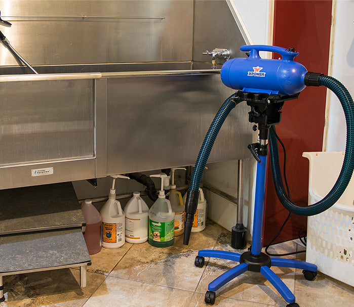 XPOWER B-24 Thermal Ace Stand Dryer Edition