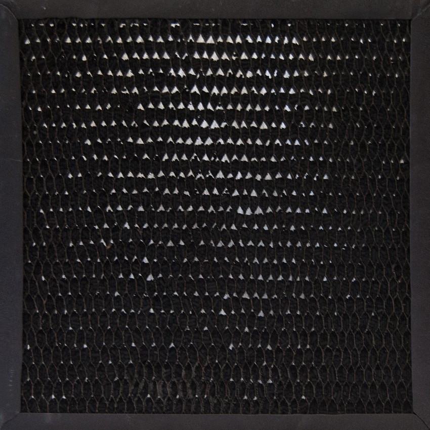 Filtre à charbon actif XPOWER CF15