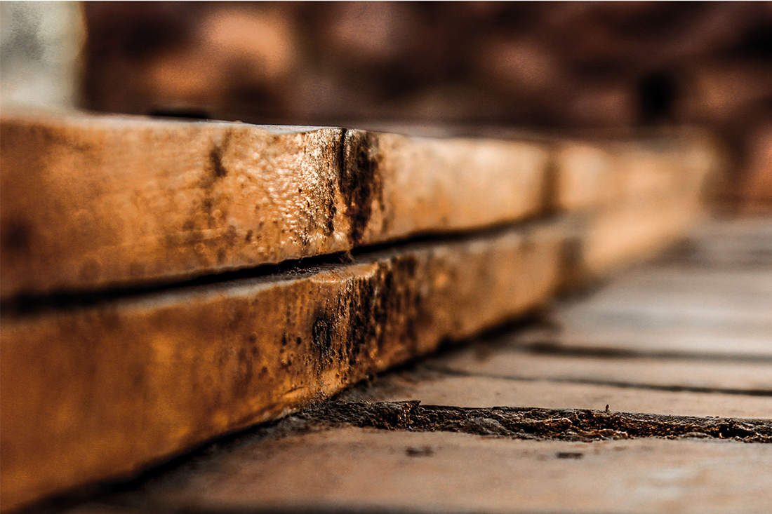 How to Control Warehouse Humidity and Protect Moisture-Sensitive Inventory