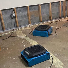 Three blue and black industrial floor fans placed on a concrete floor in an unfinished room with exposed wooden framing and cinderblock walls.