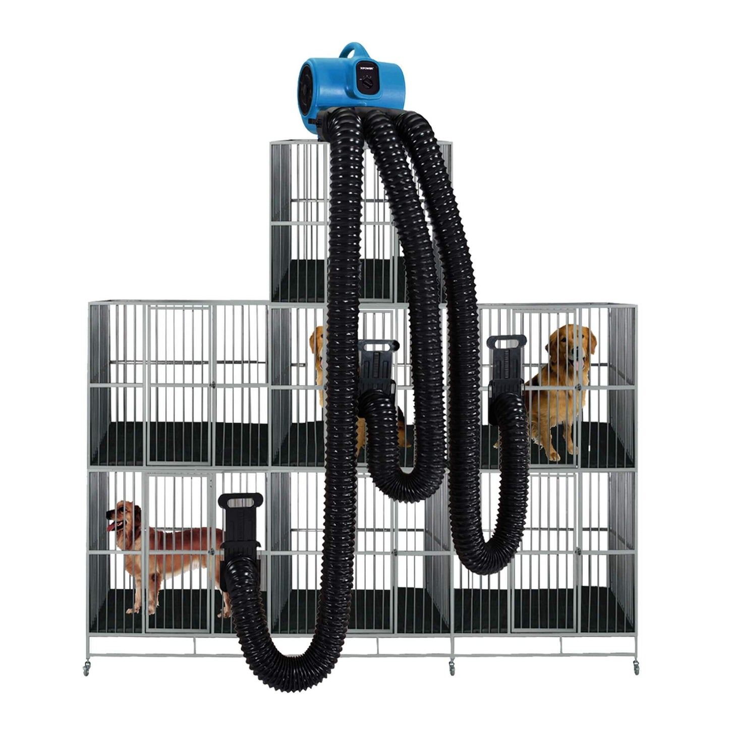 Pet Spa Power, Finish & Efficiency Combo