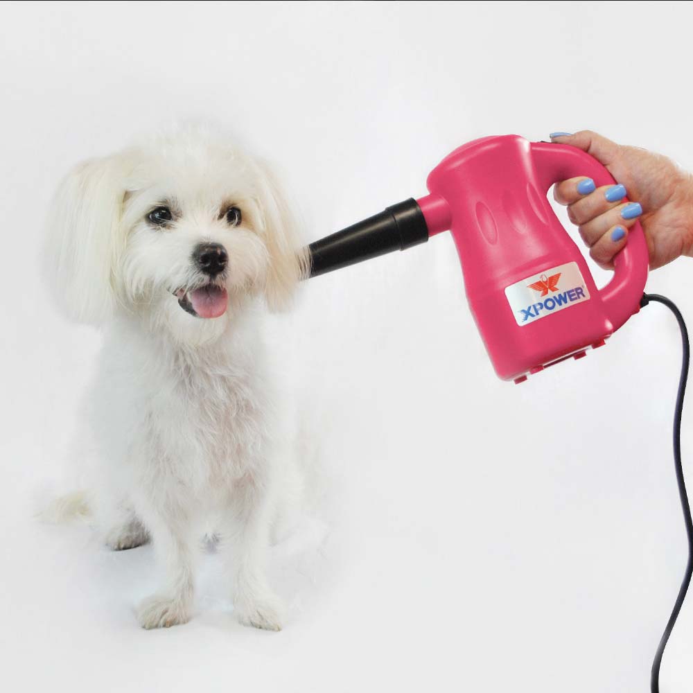 Dog dryers clearance