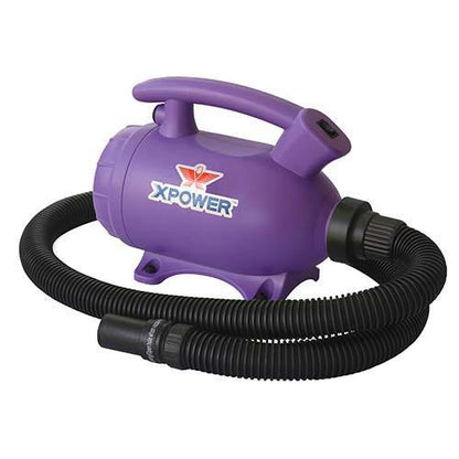 XPOWER B-55 Home Pet Dryer Purple