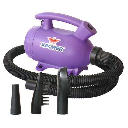 XPOWER B-55 Home Sèche-linge pour animaux de compagnie avec fonction d'aspiration - Violet