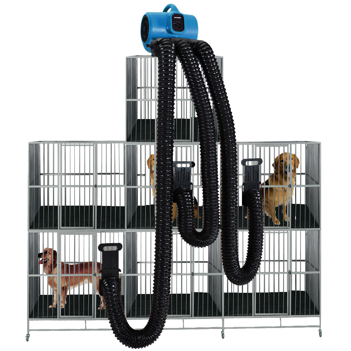 XPOWER X-430TF+MDK Professional Cage Dryer with Multi-Drying Hose Kit (1/3 HP)